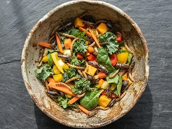Calcium-Boosted Gut-Loaded Dubia Medley