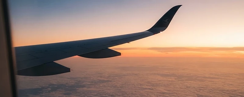 The Infinite Horizon: Choosing Your Alliance in the Sky