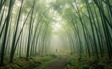 Landscape of Kyoto