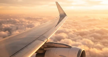 The Infinite Horizon: Choosing Your Alliance in the Modern Skies