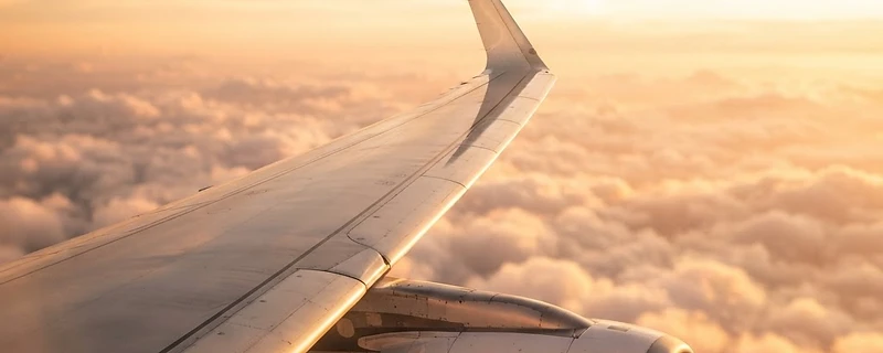 The Infinite Horizon: Choosing Your Alliance in the Modern Skies