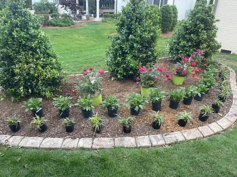 Garden Bed Installation