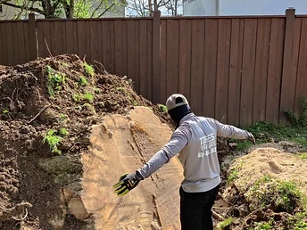Stump Removal