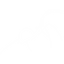 adotstate spider logo