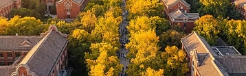 Shandong University