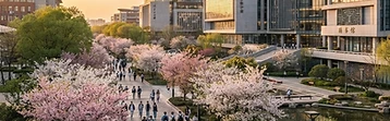 Dezhou University of Technology