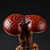 Ganoderma Lucidum