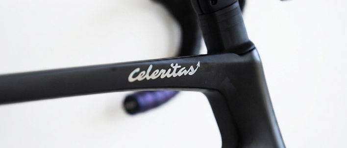 CELERITAS dettaglio 4
