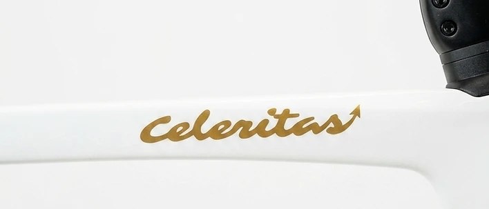 CELERITAS dettaglio 6