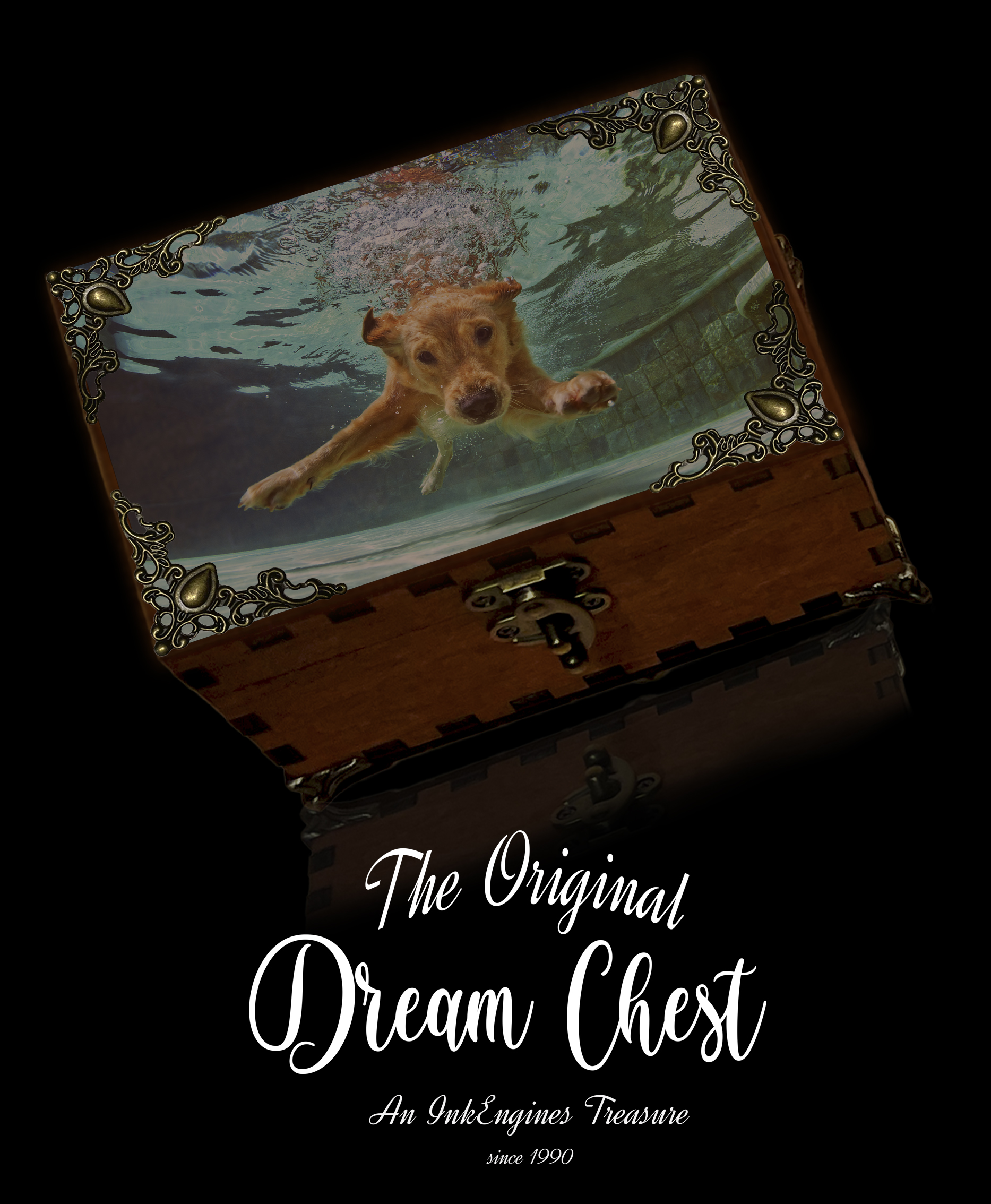 Dream Chest with golden retriever swimming