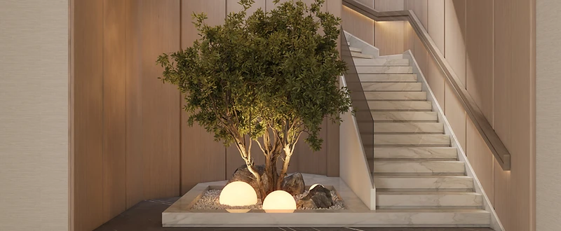 Olive Court Residence in Amman featuring a marble stair, warm timber walls and an illuminated indoor olive tree