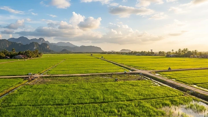 15 Best Things to Do in Sekinchan