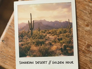 A film photograph inside the cookbook — the Sonoran desert