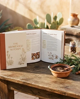 The AriMexico Kitchen cookbook by Raquel Guardia — Sonoran-Mexican recipes from the Arizona to Mexico City corridor
