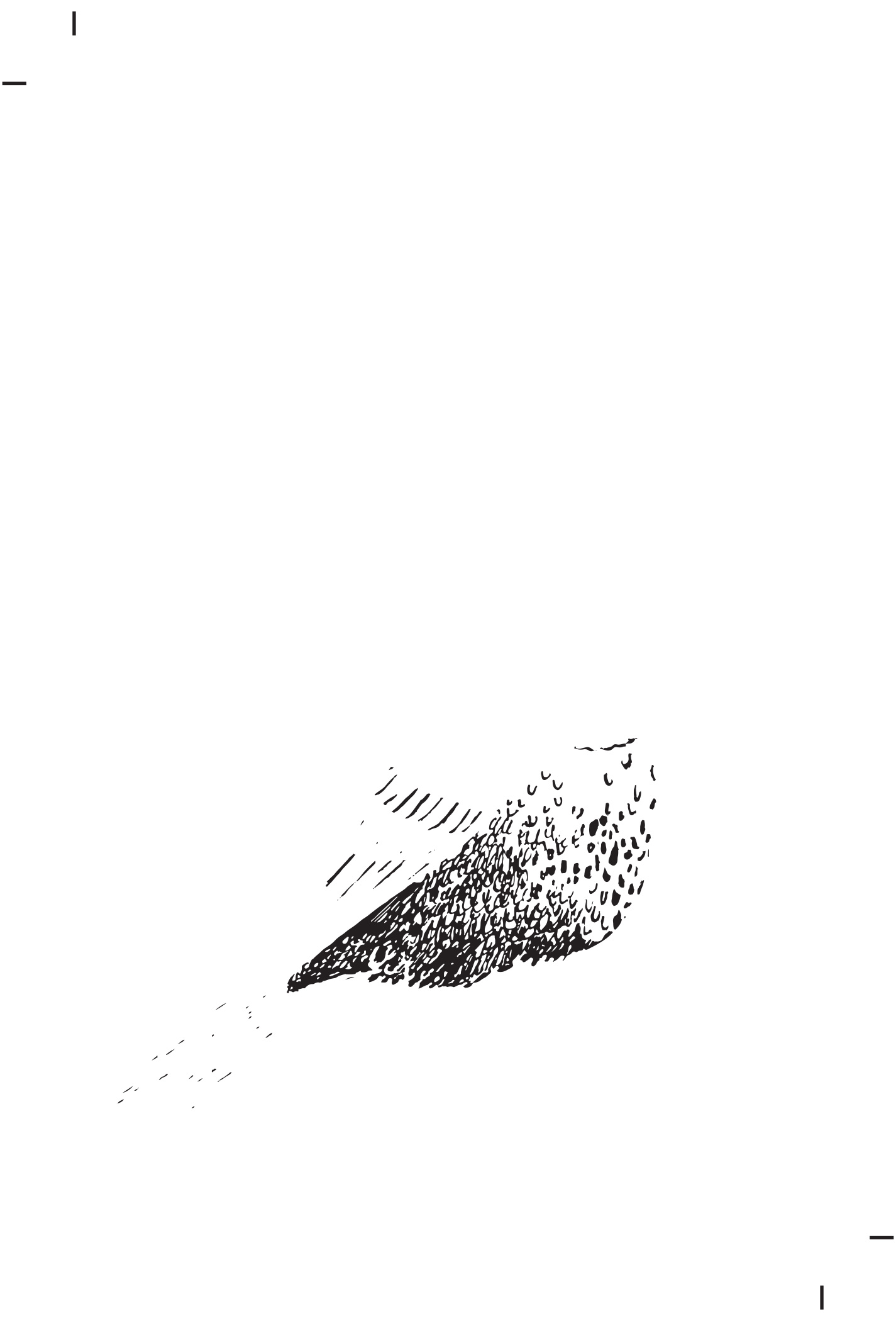 Says Phoebe MacRae Business Card view 2