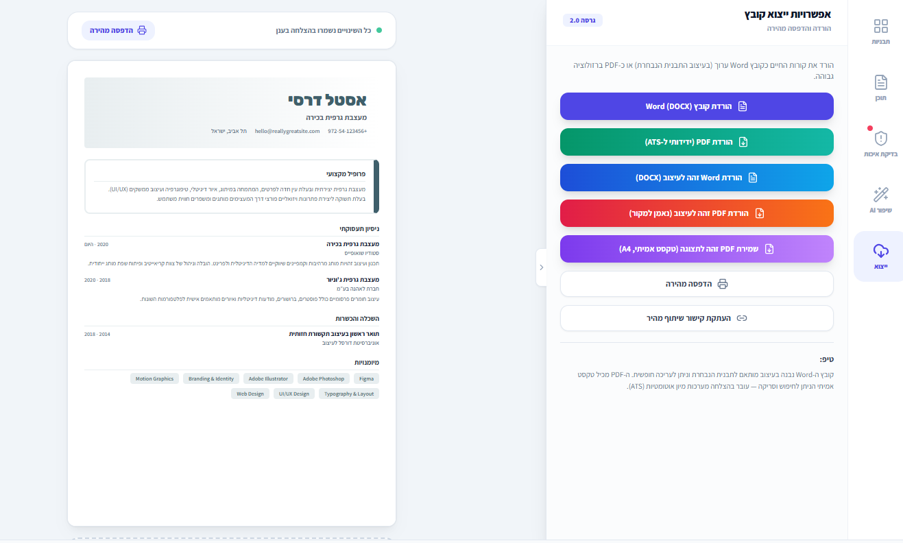My resume panel template preview