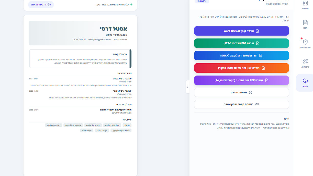 My resume panel template preview