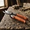 Sheep Hoof Trimmers & Foot Shears