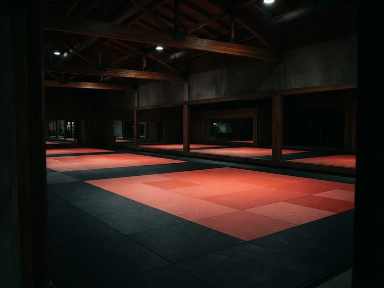 Interior of a martial arts training floor with red and black mats