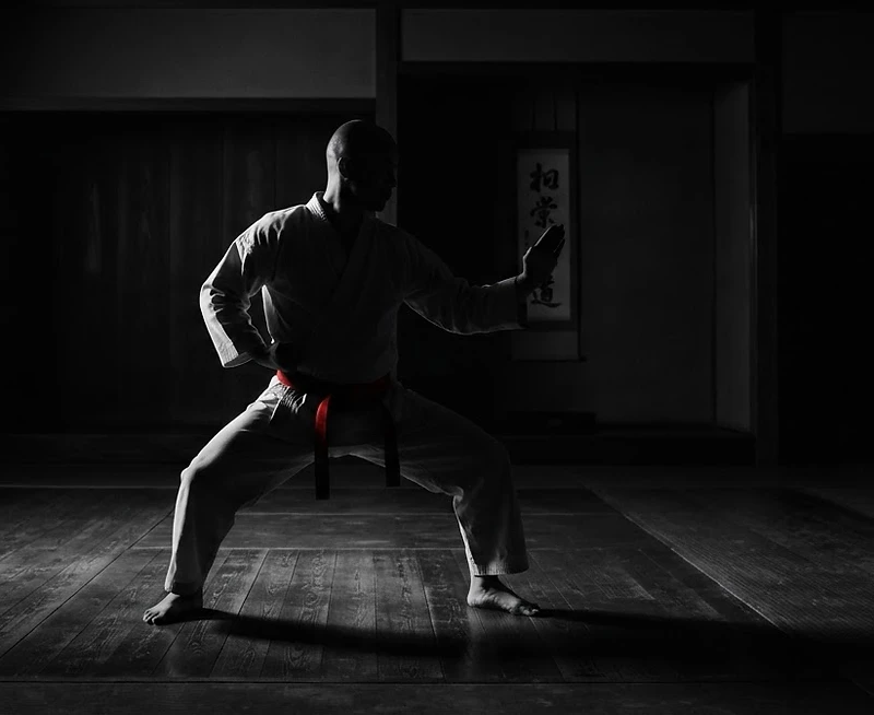 Black belt instructor holding a grounded Hapkido stance in a dimly lit dojo