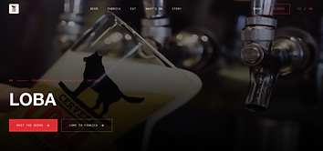 Cerveza LOBA product screenshot