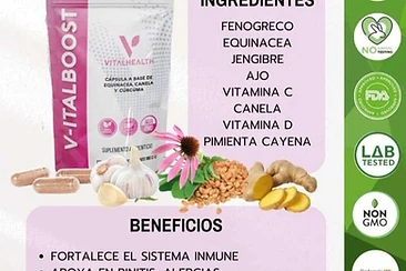 V-ITALBOOST