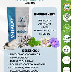 V-ITALAY