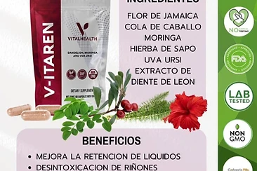 V-ITAREN