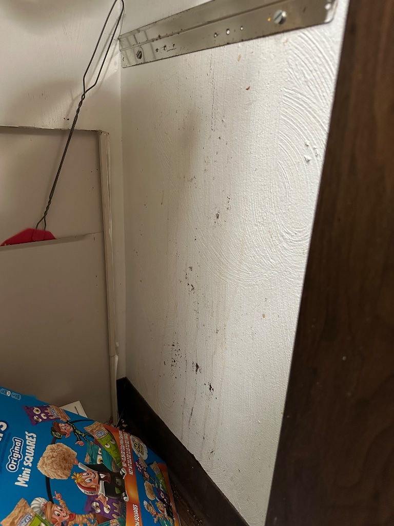 Pantry before deep cleaning in Washington County PA