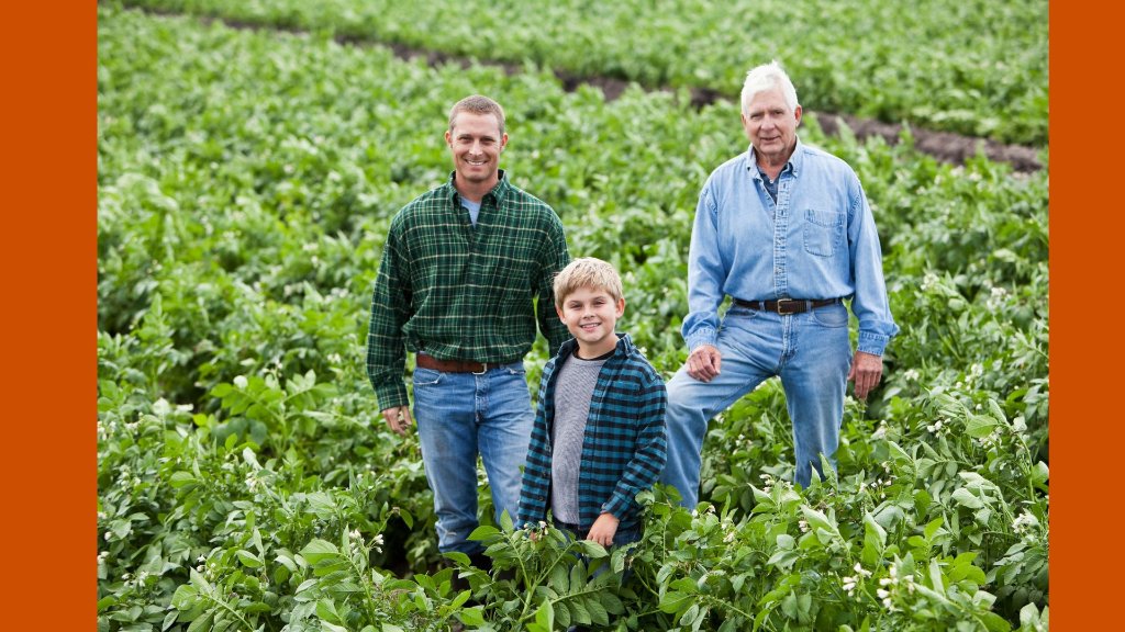 When unemployment/retirement become a productive moment