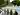 Jannawi Gardens wedding photography in Nurragingy Reserve, Sydney