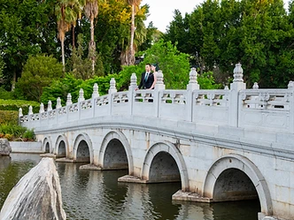 Jannawi Gardens wedding photography in Nurragingy Reserve, Sydney
