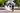 A peaceful garden wedding ceremony scene within Hyde Park, Sydney CBD