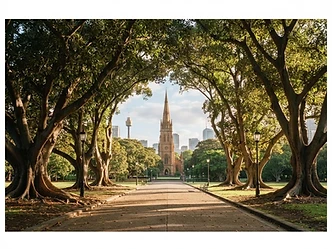 Hyde Park wedding photography in Sydney CBD, Sydney