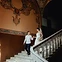 Alyssa & Gunnar — Sydney wedding photography