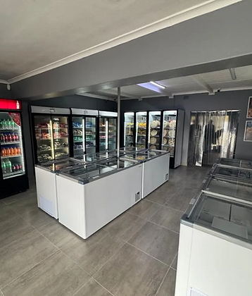 Frozen food display