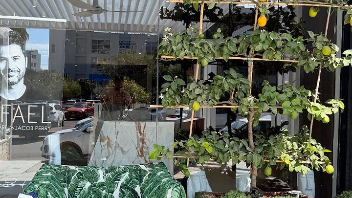 גינה חסכונית עם אדנית אבן וצמחייה מותאמת להשקיה