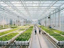 Facility at production scale
