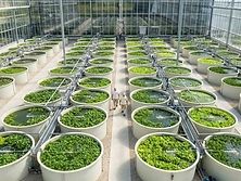 Multi-basin cultivation fleet