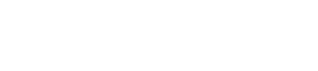 Blue Wealth - Property Partner