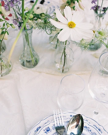 White cosmos close-up in slim glass bud vase