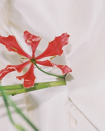 Florist arranging candelabra with gloriosa lily details