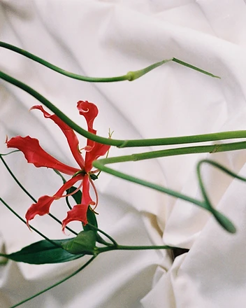 Florist lighting candles amid gloriosa lily installation
