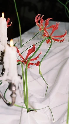 Portrait florist beside candelabra with pink gloriosa lilies