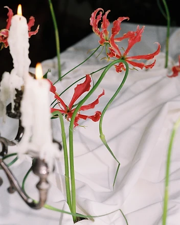 Portrait florist beside candelabra with pink gloriosa lilies