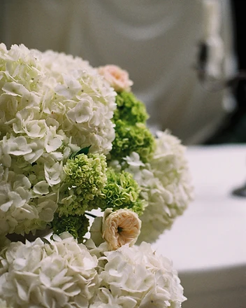 Towering white hydrangea column with draped linen backdrop