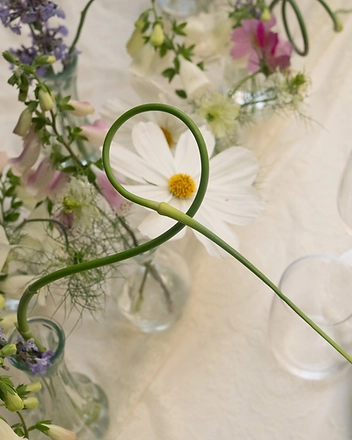 Floral table arrangement with cosmos and lavender