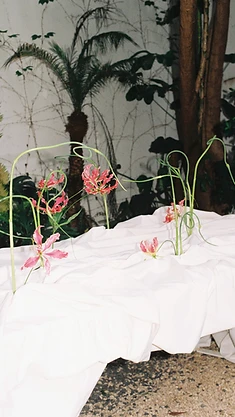 Wide shot of gloriosa lily table installation