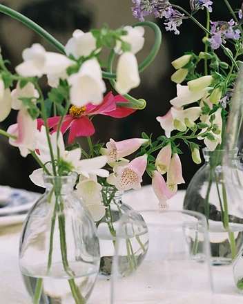 Table setting detail with foxglove and violet bud vases