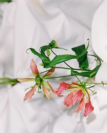 Candelabra with gloriosa lilies at candlelit dinner